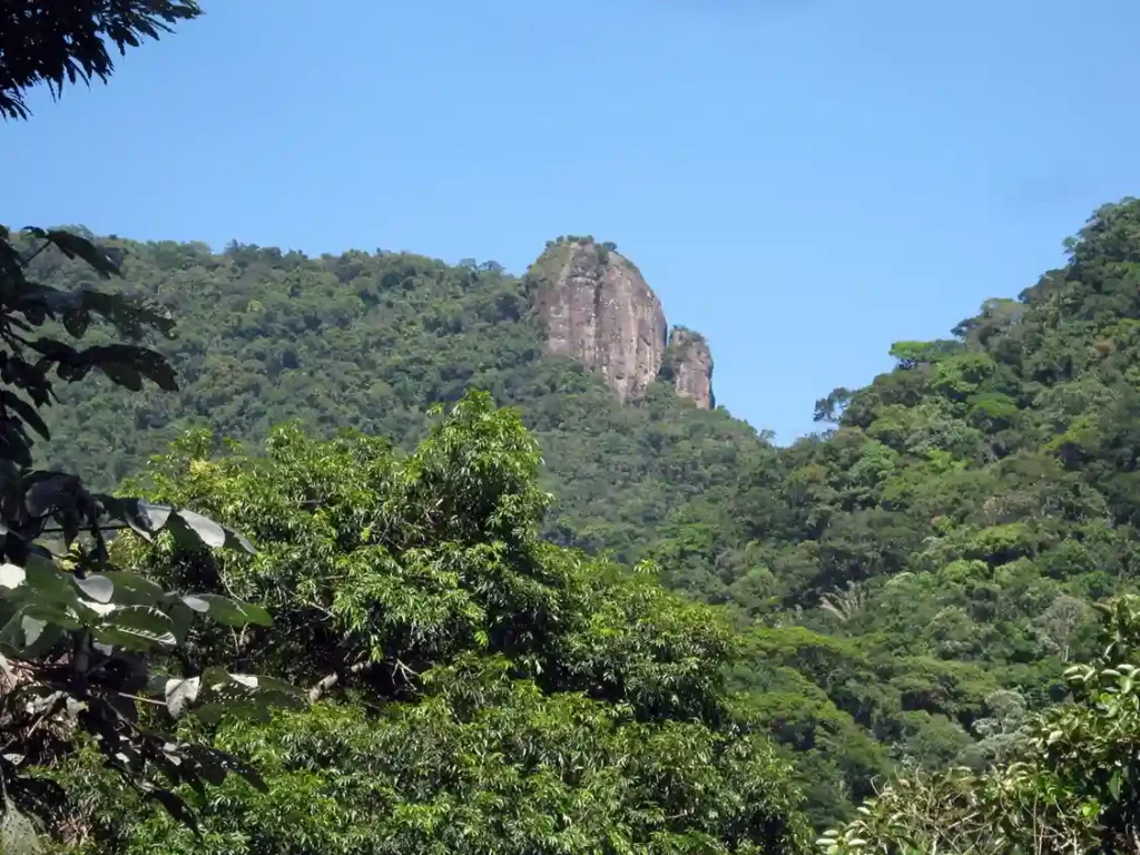 Tijuca National Park