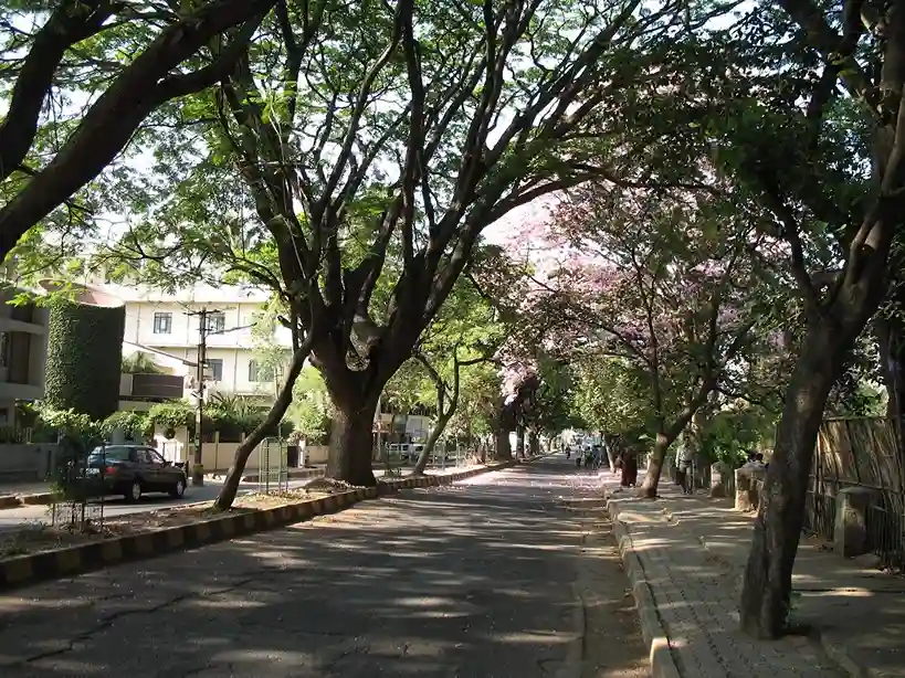 Indiranagar
india