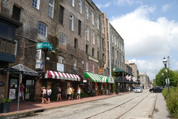 Savannah