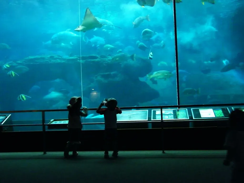 Aquarium of Ahmedabad - Dive into Aquatic Beauty
india
