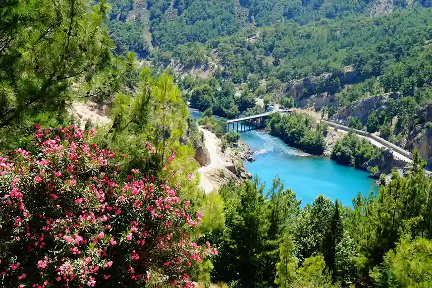 Turkey's Diverse Nature and Flora